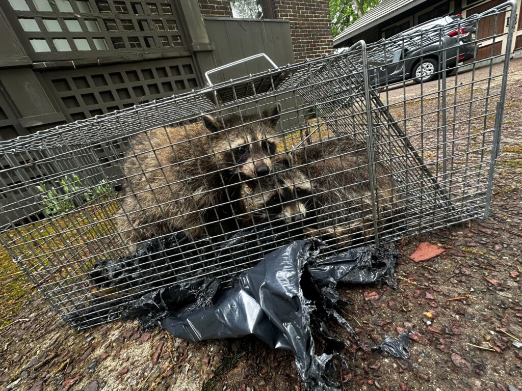 Pest Control Direct LLC