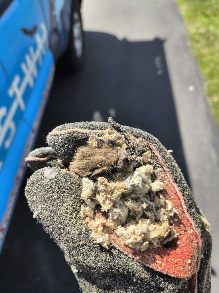 Pest Control Direct LLC
