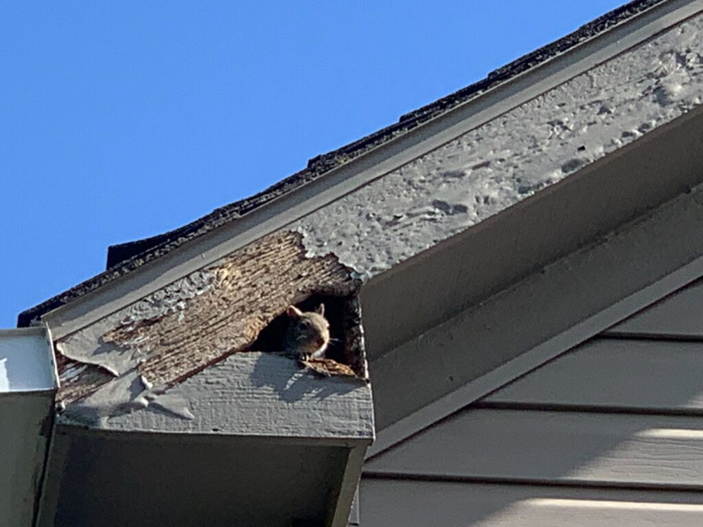 Pest Control Direct LLC